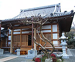 和泉市国分町浄福寺本堂