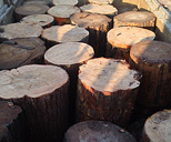 松のコマ仕入れ・保管